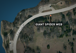 635748307748182232-Giant-spider-web